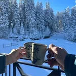 Castle Romance - Apartment Pamporovo