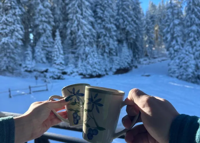 Castle Romance - Apartment Pamporovo