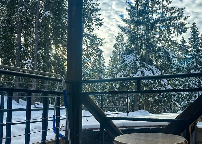 Castle Romance - Apartment Pamporovo